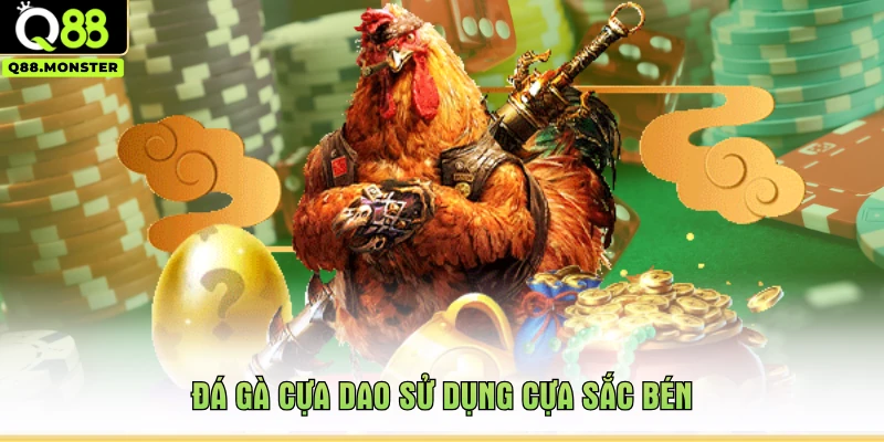 Đá gà cựa dao sử dụng cựa sắc bén