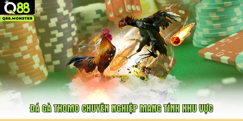 Đá gà Thomo chuyên nghiệp mang tính khu vực