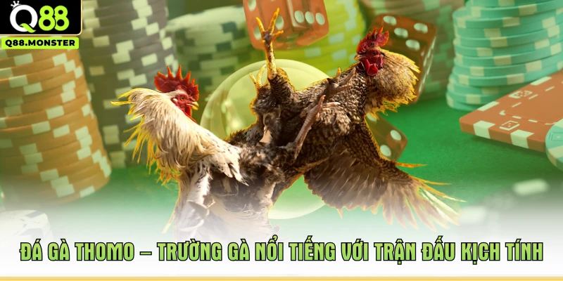 Đá Gà Thomo