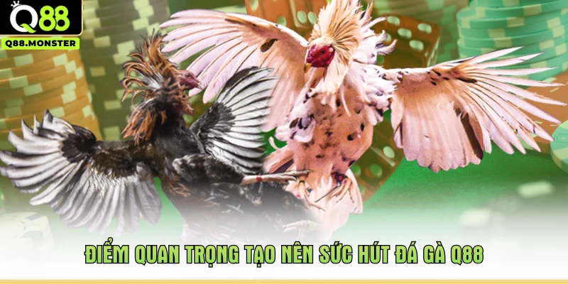 Điểm quan trọng tạo nên sức hút đá gà Q88
